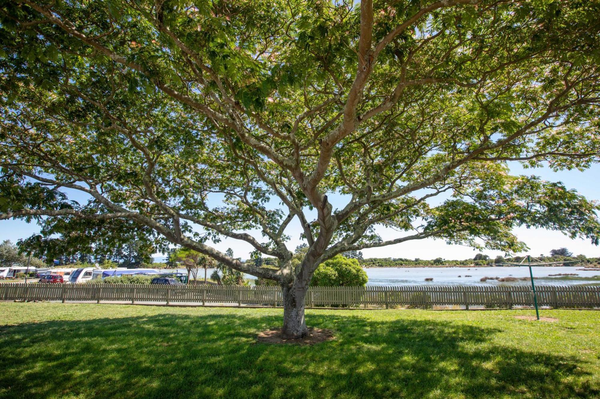 Tahuna Beach Holiday Park Nelson Room photo